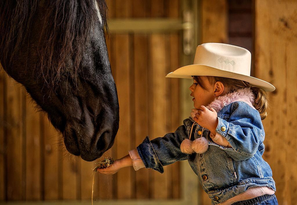 El Bronco Working Ranch Izsák Exteriér fotografie