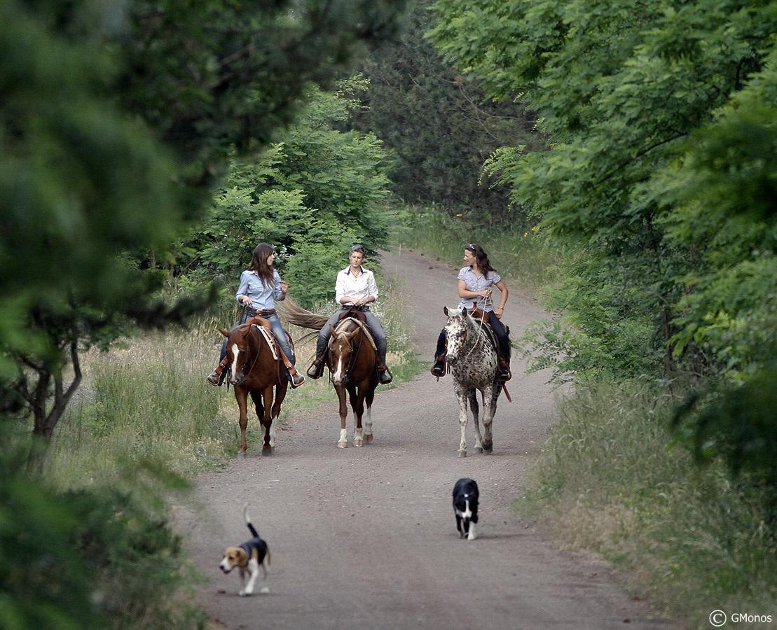 El Bronco Working Ranch Izsák Exteriér fotografie